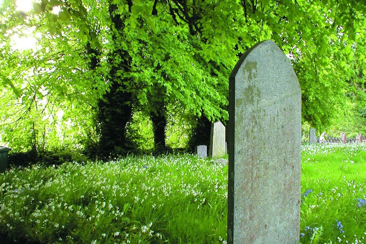 Learn about Norfolk churchyard wildlife in Holt